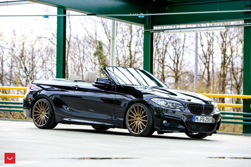 BMW 1 Series | M1   VFS2