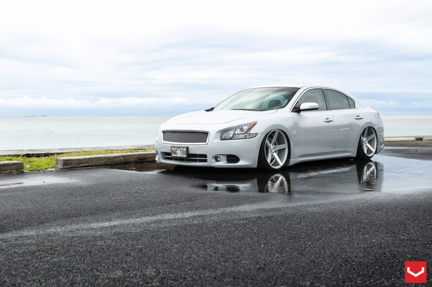 Nissan Maxima   VVSCV3