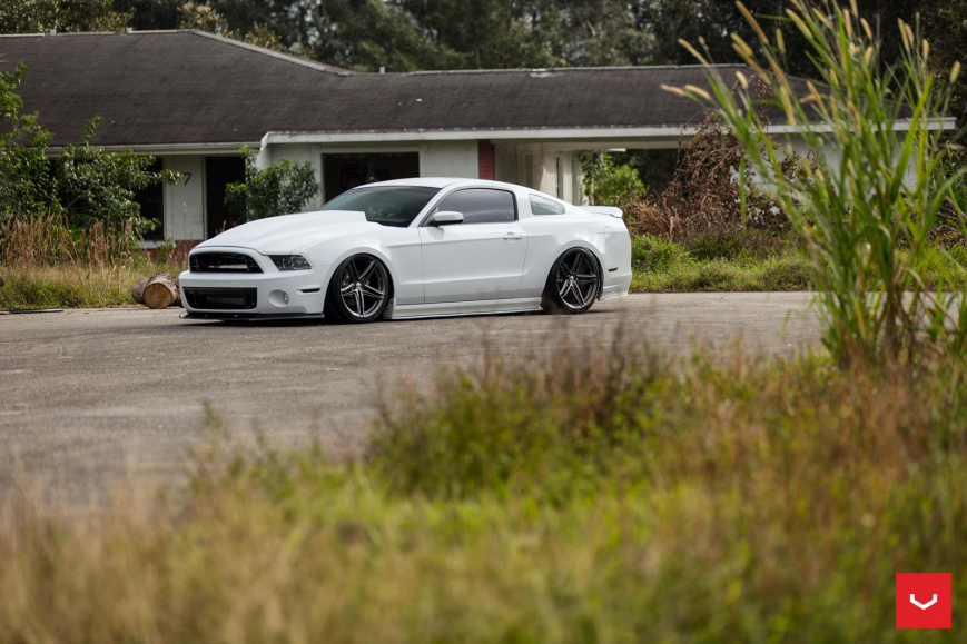 Ford Mustang   VFS5