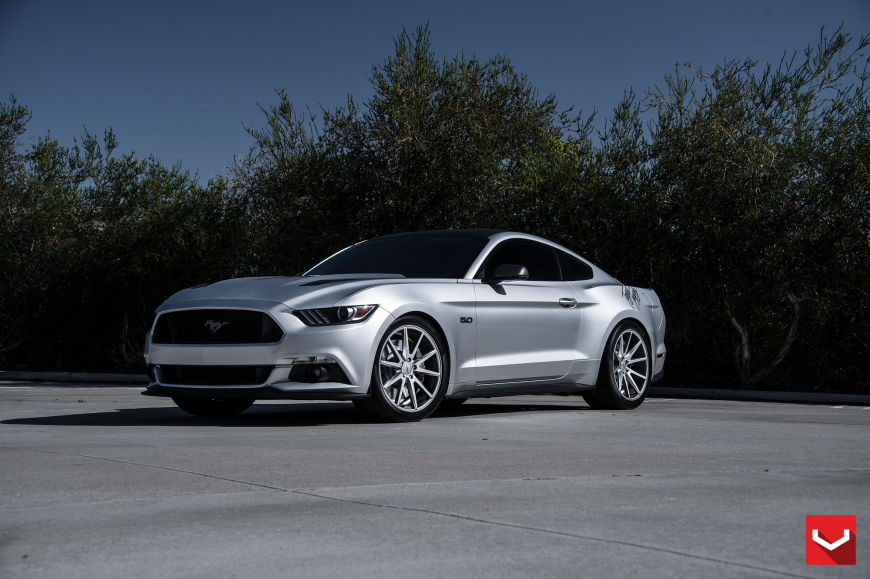 Ford Mustang   VFS1