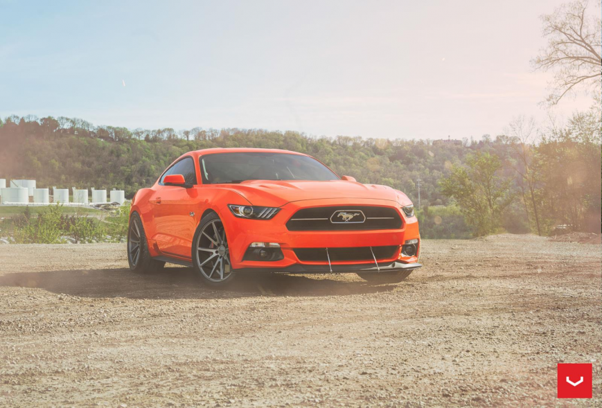 Ford Mustang   VFS1