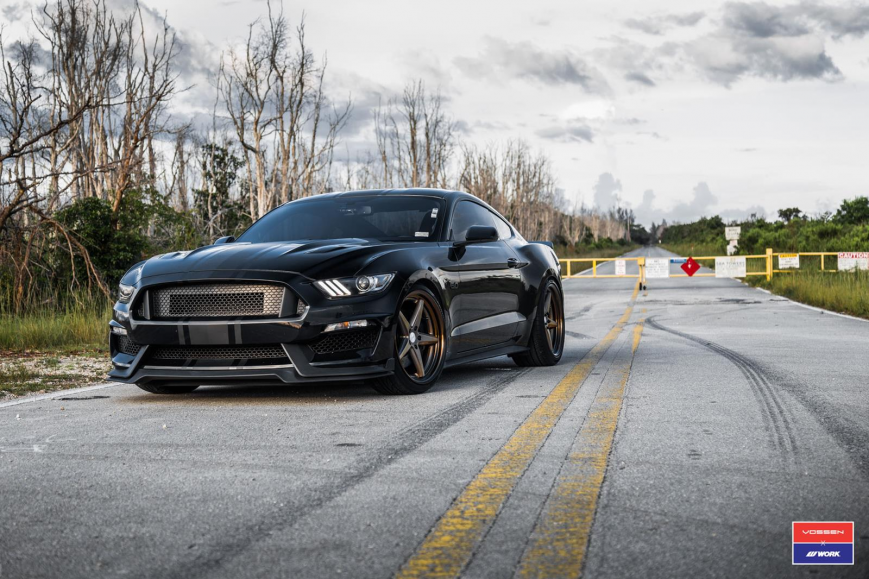 Ford Mustang   VWS3