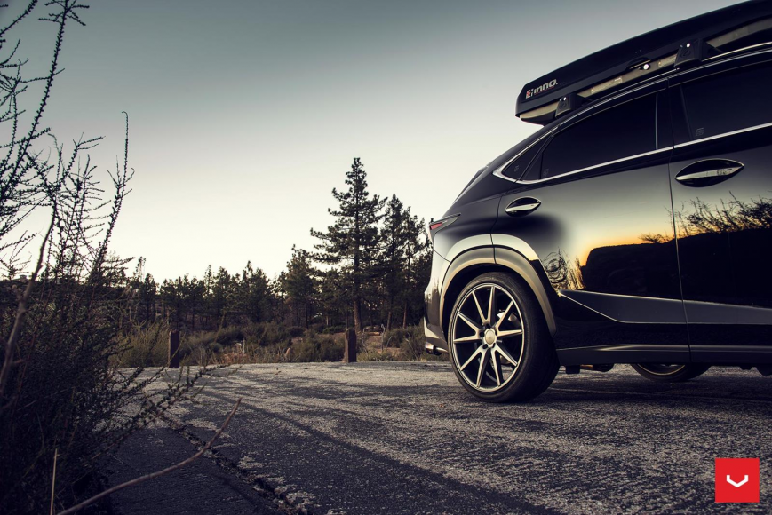 Lexus NX   VFS1