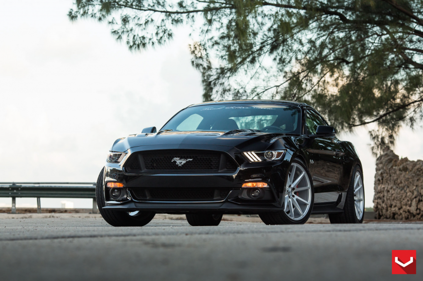 Ford Mustang   VFS1