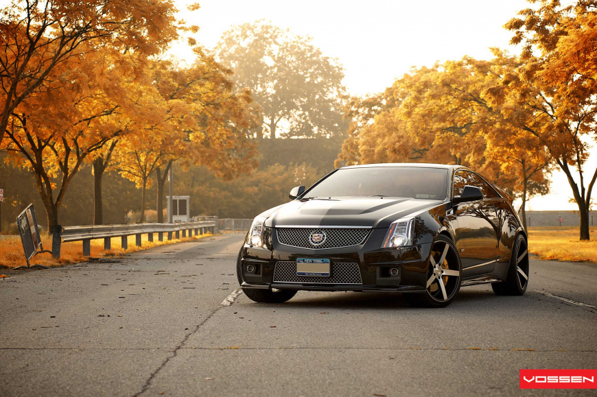 Cadillac CTS   VVSCV3
