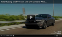 Ford Mustang - VVSCV3